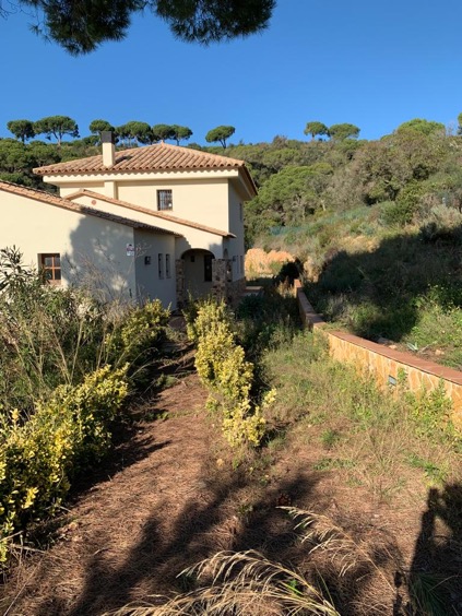 a6ce694f-15e0-45b5-8591-a4db7dc13a37