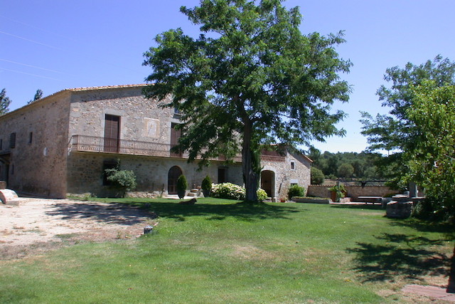 smallmasiallagostera
